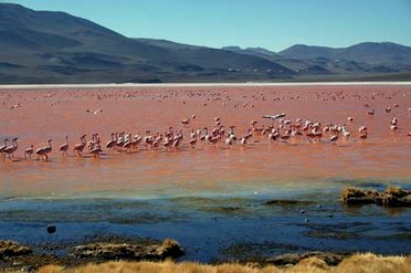 Volcans de Bolivie et Salars d'Uyuni