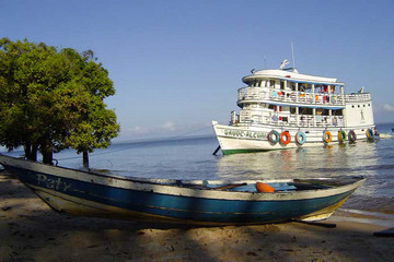 Voyage d'exploration en Amazonie, l'Océan vert