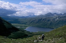 WEST HIGHLAND WAY - LIBERTE